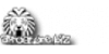 afrostore.biz